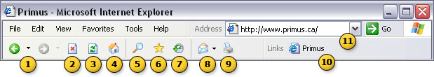Internet Explorer 6 Screenshot